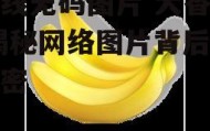 在线无码图片 大香蕉,揭秘网络图片背后的秘密
