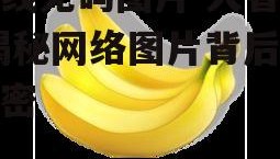 在线无码图片 大香蕉,揭秘网络图片背后的秘密