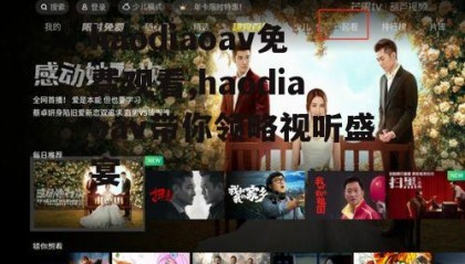 haodiaoav免费观看,haodiaoav带你领略视听盛宴