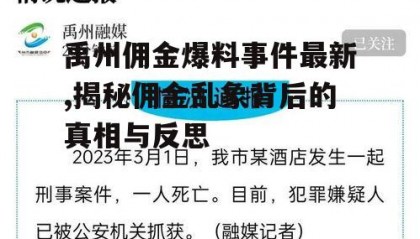 禹州佣金爆料事件最新,揭秘佣金乱象背后的真相与反思